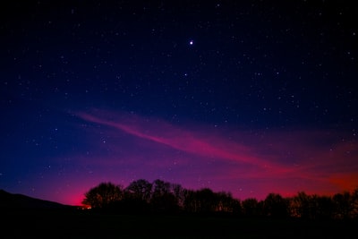 树的轮廓与星夜下粉红色的云
